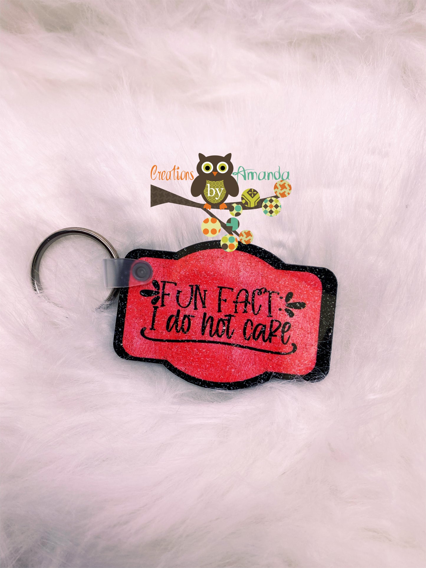 Fun Fact I Do Not Care Keychain